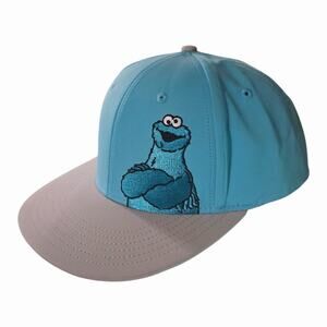 Sesame street Cookie Monster Hat Sesame Place Snapback 2017